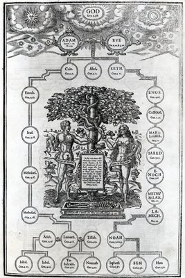Árbol genealógico de Adán y Eva, 1556 English School
